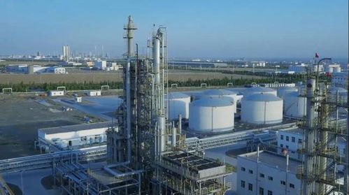 砥礪奮進(jìn)五年間 奎屯—獨(dú)山子經(jīng)濟(jì)技術(shù)開發(fā)區(qū)榮獲兩項(xiàng)國家級殊榮，技術(shù)轉(zhuǎn)讓成果顯著